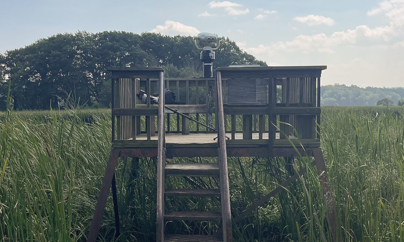 The marsh and lookout at Cootes Paradise, Hamilton, at the head of Lake Ontario